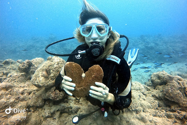 Exploration Dives – for Qualified Divers