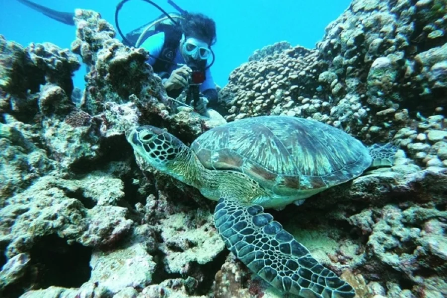 Exploration Dives – for Qualified Divers