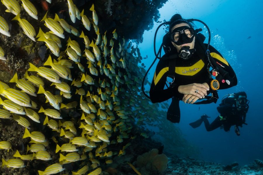 The Legendary Passe St Jacques