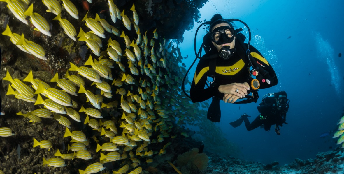 The Legendary Passe St Jacques