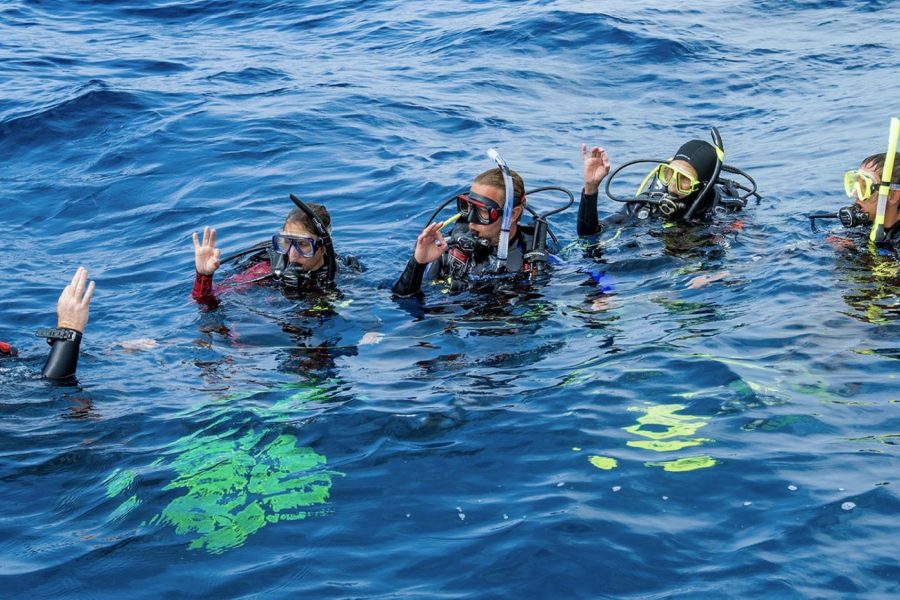 PADI Divemaster Course