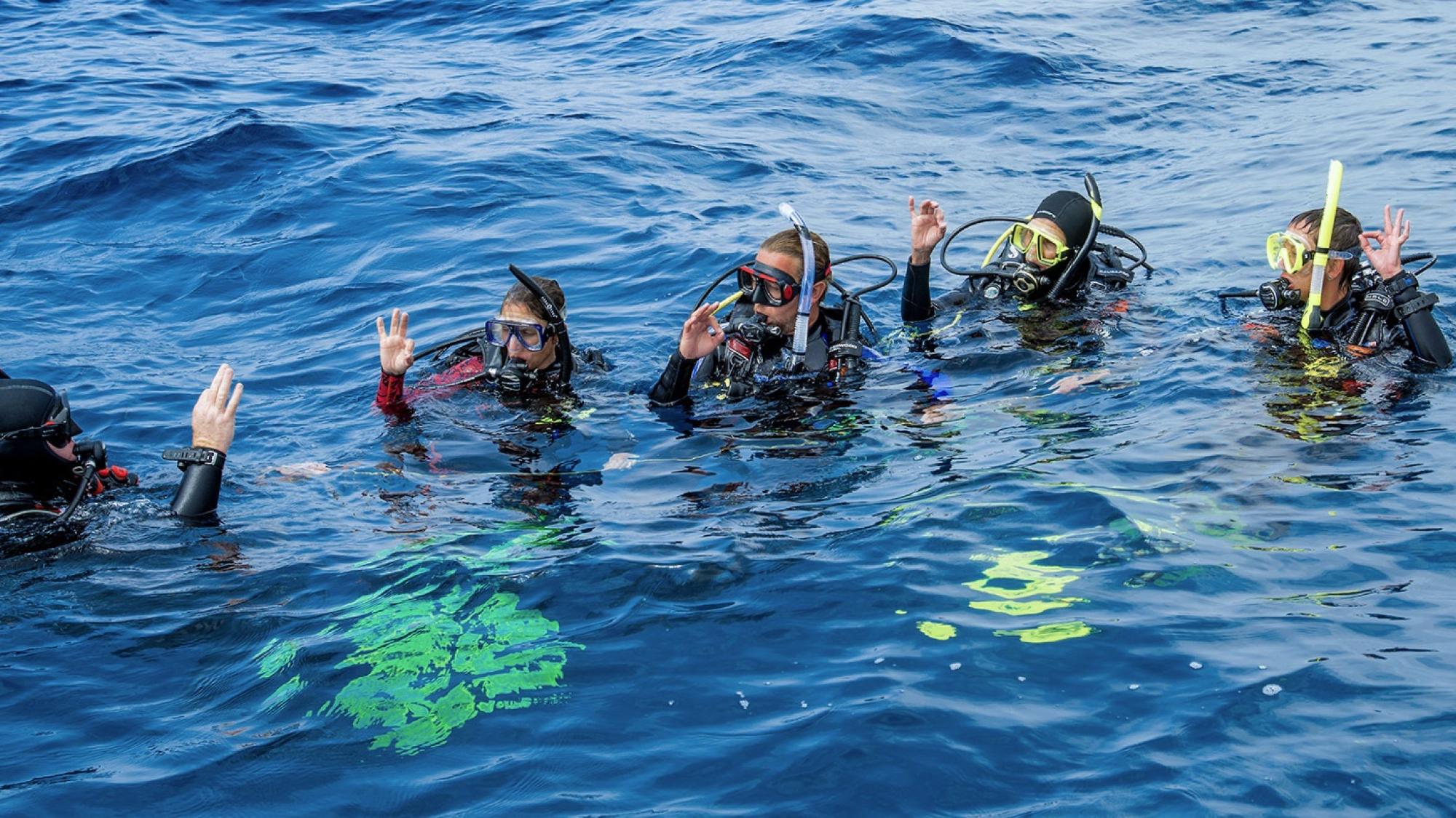 PADI Divemaster Course