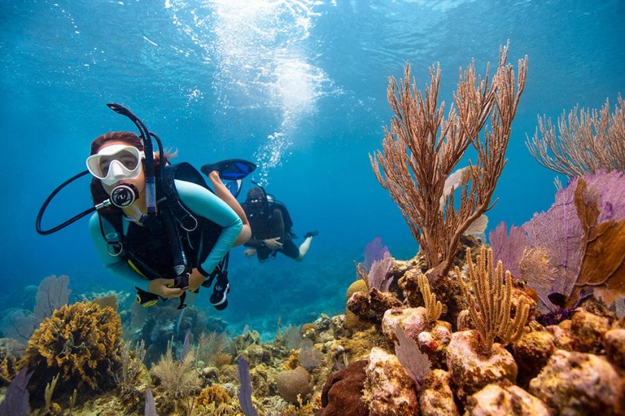 PADI Open Water Diver Course