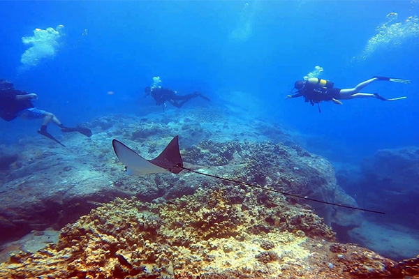 Exploration Dives – for Qualified Divers