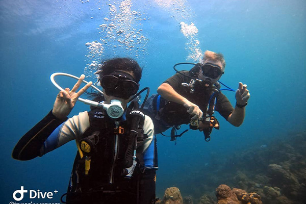 Exploration Dives – for Qualified Divers