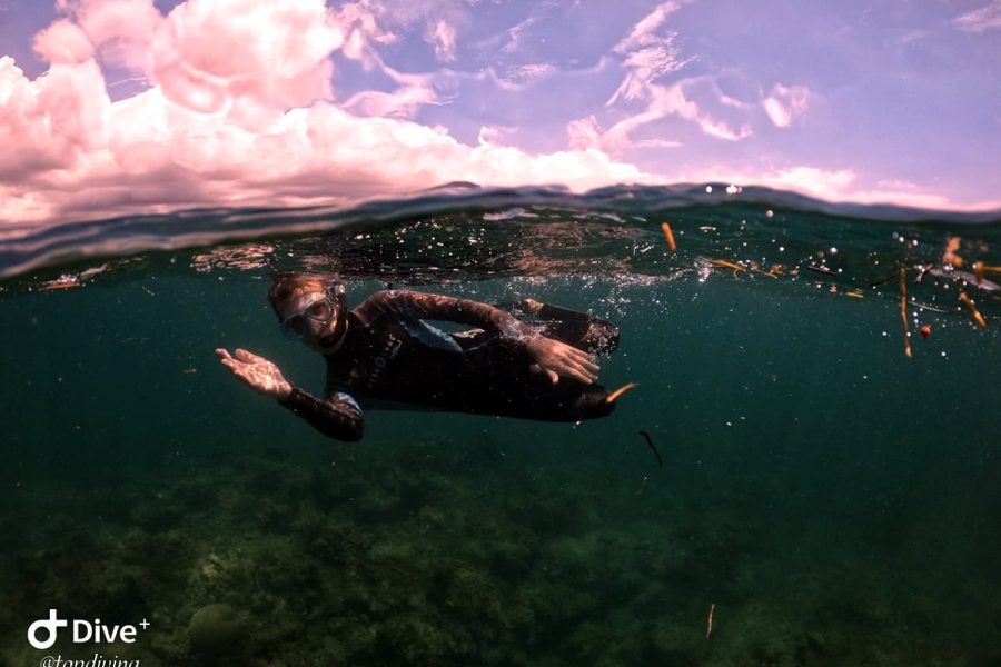 Sunset & Night Snorkeling