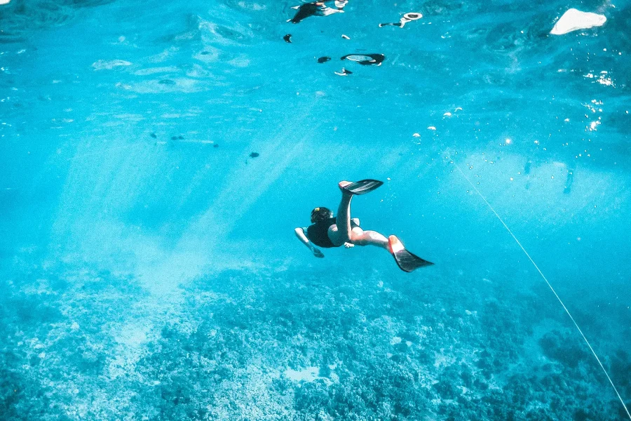 Guided Snorkelling Trips