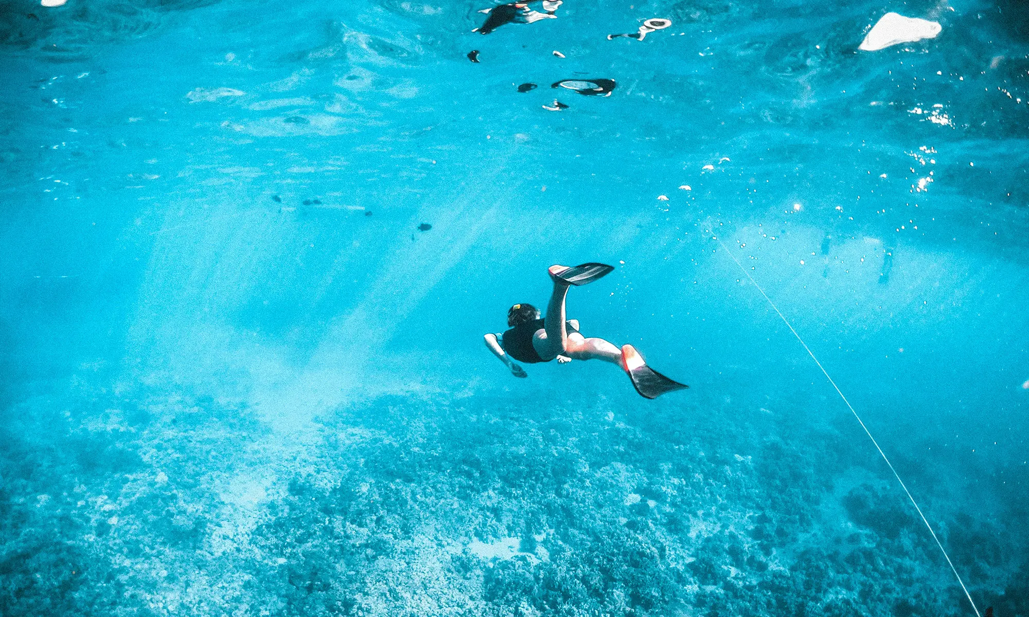 Guided Snorkelling Trips