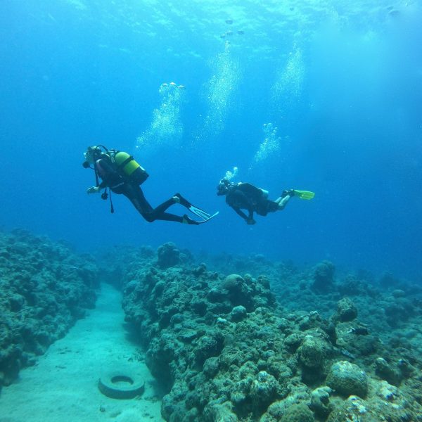 tamarin-ocean-pro-diving-divers-2